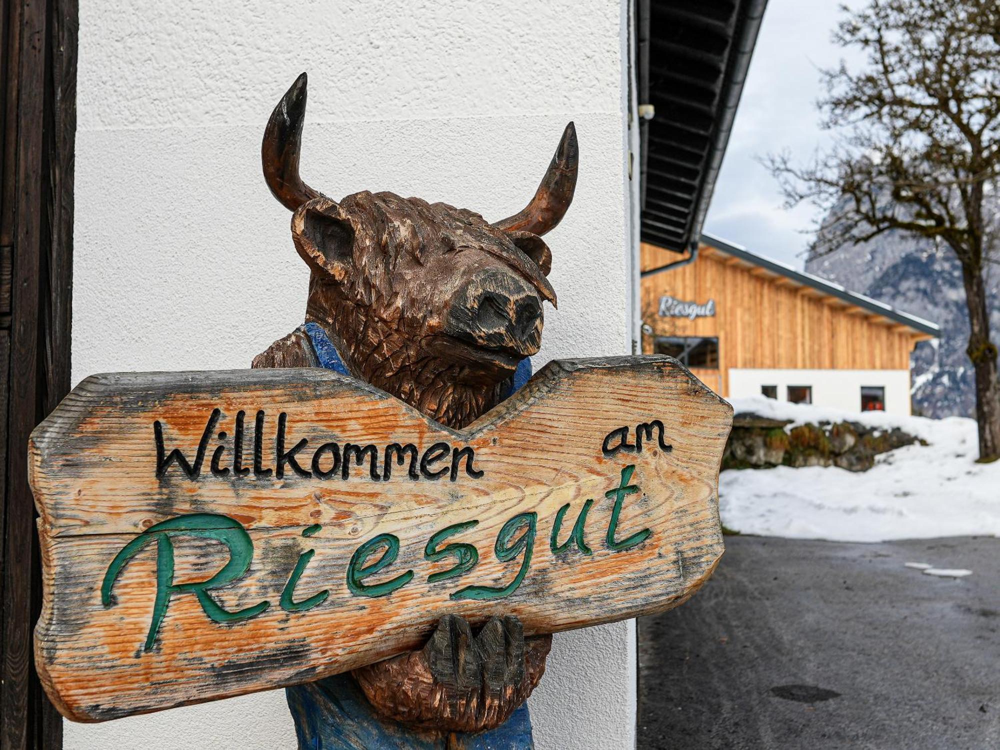 Mountain Residence Riesgut Werfen Esterno foto